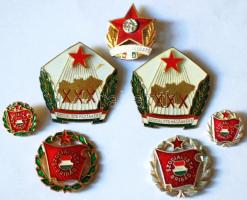 ~1960. 2db "Szocialista Brigád" kitüntetés miniatűrrel dísztokban + 2db "Szocialista hazánkért XXX" zománcozott jelvény + "Kiváló hallgató" zománcozott jelvény T:1-,2
