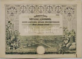 1906 Szeged Alsótanyai Népbank 200K részvény / Volksbank-Aktie
