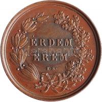 ~1900. "Temesvármegyei Gazdasági Egyesület / Érdem Érem" Br érem, Körmöcbánya (14.78g/29mm) T:1- kis ph. Hungary ~1900 Economic Association of Temes County Br medallion, Kremnitz (14.78g/29mm) C:AU small edge error