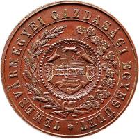 ~1900. "Temesvármegyei Gazdasági Egyesület / Érdem Érem" Br érem, Körmöcbánya (14.78g/29mm...