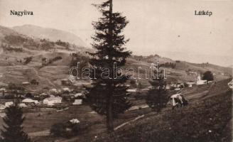 4 db régi képeslap: 3 erdélyi (Nagyilva, Marosvásárhely, Maroshévíz) és egy magyar (Siklós)