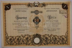 1935 Salgó-Tarjáni Kőszénbánya Rt. 30P részvény / Steinkohlen-Bergban Aktie
