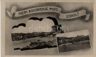 Budapest Lánchíd épen és lerombolva, 'Nem bocsátjuk meg soha'