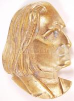 Bronz névjegykártyatartó Liszt Ferenc portréjával /  Bronze business card plate shaping the portrait of Ferenc Liszt, 16,5x12cm