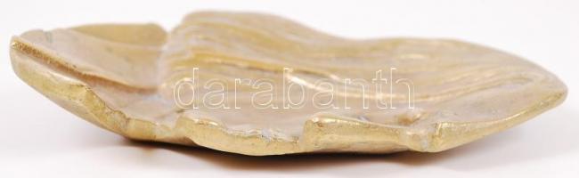 Bronz névjegykártyatartó Liszt Ferenc portréjával / 
Bronze business card plate shaping the portrait...