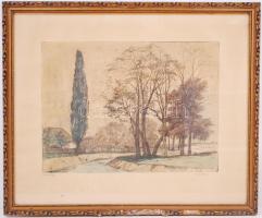 Nuridzsány Zoltán (1925-1974): Falu vége. Színezett rézkarc, papír, jelzett, üvegezett keretben 57×47 cm