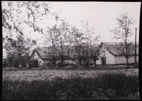 1969 "Battonya határában a tanyaépületekhez érkeztek elsőként a felszabaditó szovjet hadsereg katonái", sajtófotó, 13x18cm