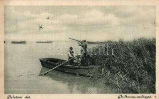 Balaton vadkacsa vadászat