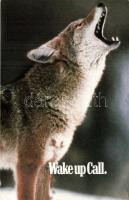 545 db modern képeslap: üdvözlőlapok, reklámlapok, művészlapok / 545 modern postcards: greeting card...