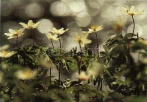 296 db modern üdvözlőlap, benne 16 db szovjet díjjegyes / 296 modern greeting cards, between them 16...