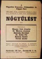 1945 Független Kisgazda-, Földmunkás- és Polgári Párt röplap a nők szavazatának fontosságáról, 20×15 cm