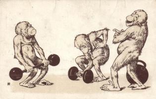 Monkeys workout litho (Rb)