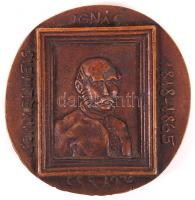 Csíkszentmihályi Róbert(1940-): Semmelweis Ignác, emlék plakett, bronz, jelzett, d:8 cm