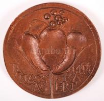 Ligeti Erika (1934-2004): Tanácstag munkáért. Bronz plakett, d:6 cm