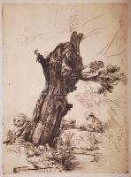 Rembrandt van Rijn (1606-1669): Szent Jeromos. Rézkarc nyomat reprodukciója, 23x33cm