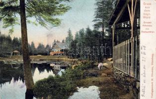 Bayerischer Wald (EB) C Prä