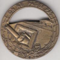 Franciaország 1914-1918. "ON NE PASSE PAS" Wiltshire ezred Br jelvénye (35mm), tű nélkül T:3 France 1914-1918. Wiltshire Regiment's Br badge "ON NE PASSE PAS" (35mm) C:F