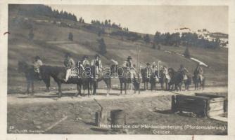 Horse mustering, Galicia, folklore (gluemark)