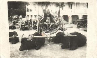 Sukhumi market, folklore, photo