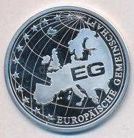 Németország 1993. "Német Szövetségi Köztársaság 50 éve - Európai Közösség" Ag emlékérem (2...