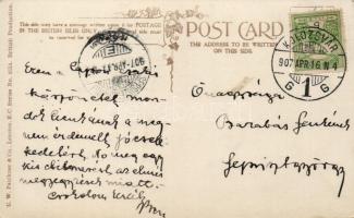 Let me think now, cat s: Louis Wain