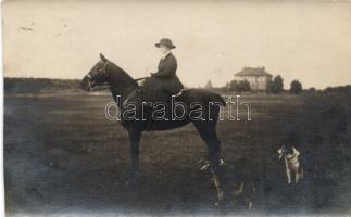 Horse, lady, dogs, photo