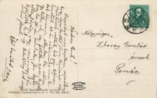 Budaörs a Magyar Országos Véderő Egylet (MOVE) Repülő Osztályának létesítményei