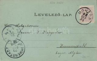 1898 Mohács, László közkórház litho