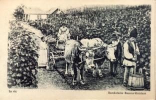 Romanian peasants, vintage, ox cart