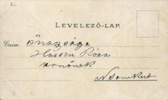 1896 Püspökfürdő Szentlászlófürdő with railway station litho