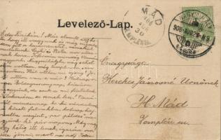 Nagymihály with synagogue and power station