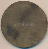 1965. "A Debreceni Színház fennállásának 100. évfordulója emlékére" Br emlékplakett (64mm)...