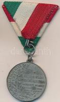 1894. "Kossuth Lajos, dicső korszak lánglelkű alkotója" Zn emlékérem (33mm) T:2