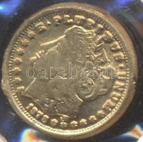 DN. "USA 1$" modern mini Au pénz 0.333 minőségű T:BU
ND. "USA 1$" modern mini Au...