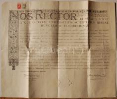 1946 Politikatudományi diploma 25 Ft illetékbélyeggel