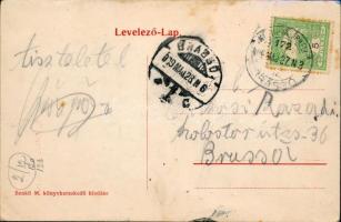 Sepsiszentgyörgy with synagogue, leporello (b)