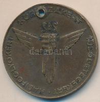 1947. "SAS / Siess-Adj-Segíts / Hadifoglyokért, kórházakért, tüdőbetegekért" Br emlékérem (40mm) szign.:LOÓSZ JÓZSEF T:2- ly.