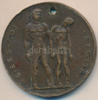 1947. "SAS / Siess-Adj-Segíts / Hadifoglyokért, kórházakért, tüdőbetegekért" Br emlékérem ...