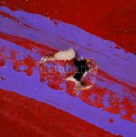 PCSM jelzéssel: Cím nélkül. Akril, karton, sérült, 110×70 cm