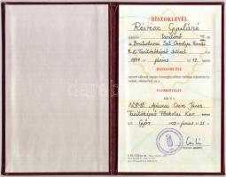 2005 Győr, Vasoklevél 65 éve végzett pedagógus részére