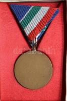1954. "Árvízvédelemért Érem" patinázott Br kitüntetés, szalaggal dísztokban T:2