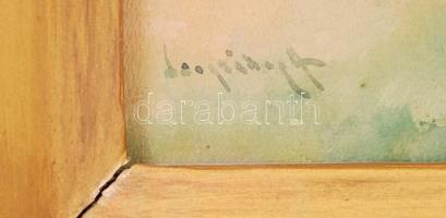 Neogrády Antal (1861-1942):Tyúkokat etető lány. Akvarell, papír, jelzett, üvegezett sérült keretben ...