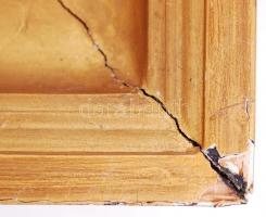 Neogrády Antal (1861-1942):Tyúkokat etető lány. Akvarell, papír, jelzett, üvegezett sérült keretben ...