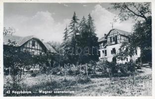 Nagybánya Wagner sanatorium