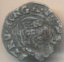 1643KB Denár Ag "III. Ferdinánd" (0,30g) T:2- kitörés Unger II.: 953., Huszár: 1263.