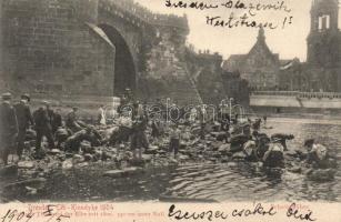 Dresden Elb Klondyke 1904, low tide