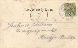 Temesvár Kossuth street, tram (fl)