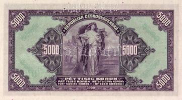 Csehszlovákia 1920. 5000K "SPECIMEN" lyukasztással T:I