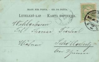 Károlyváros, Karlovac; Ivan Sagan's shop litho (fl)