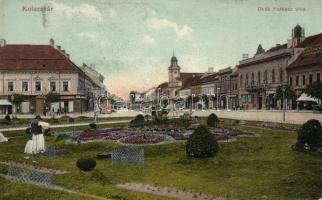 Kolozsvár Deák street, landscaping (fl)